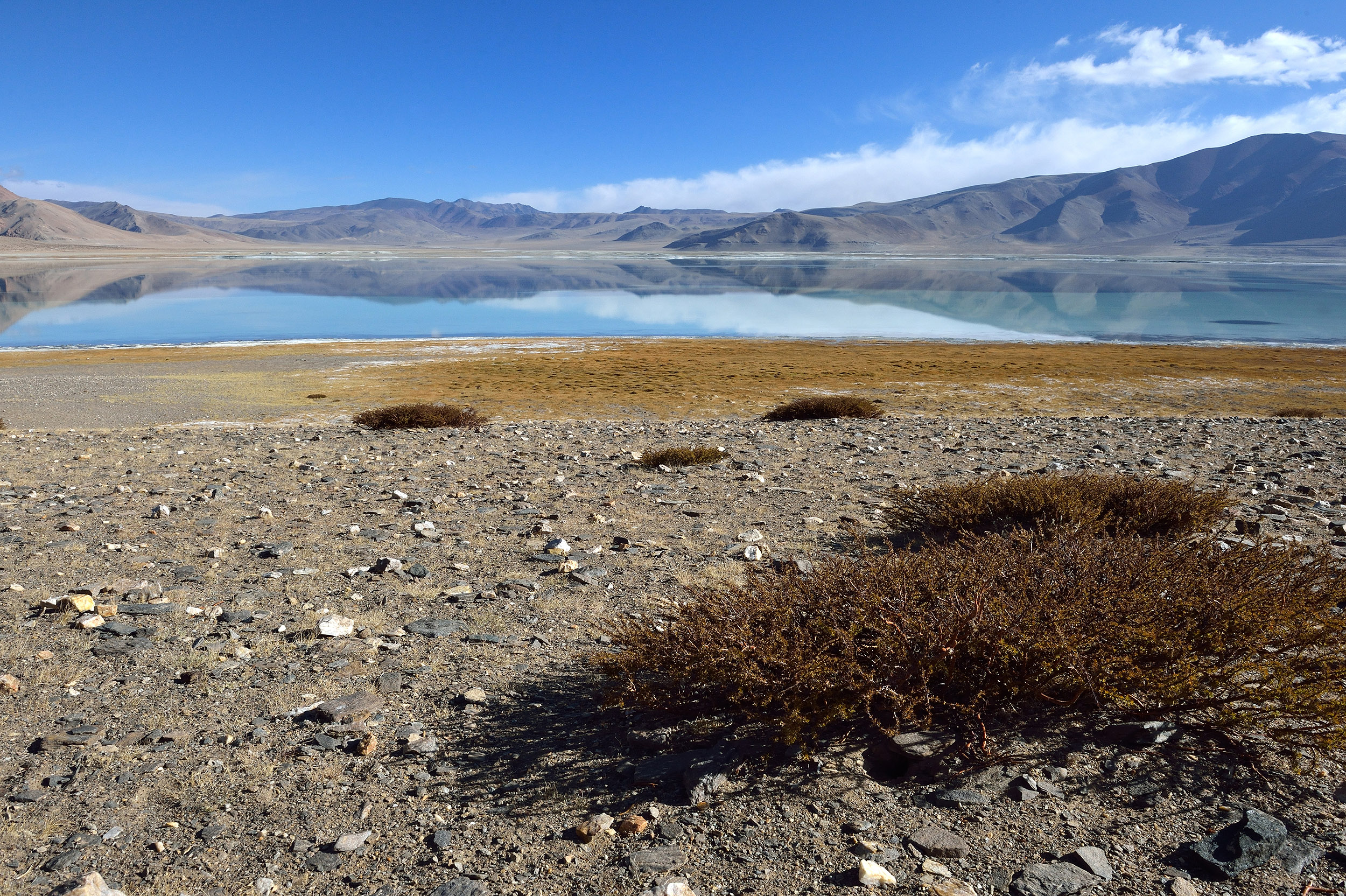 Plateau du Tso Kar, 4600m.